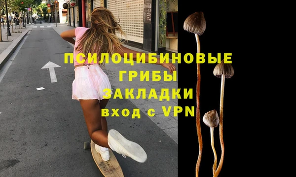мяу мяу мука Пестово