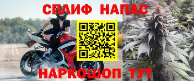 ПСИЛОЦИБИНОВЫЕ ГРИБЫ Аргун