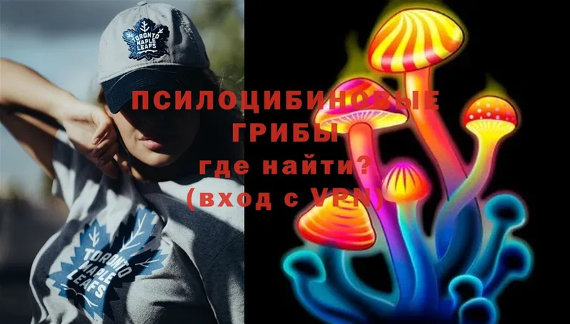 omg онион  Богородицк  Галлюциногенные грибы Psilocybe 