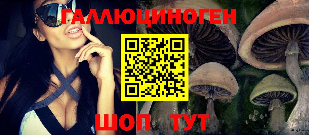 Псилоцибиновые грибы мухоморы Богородицк