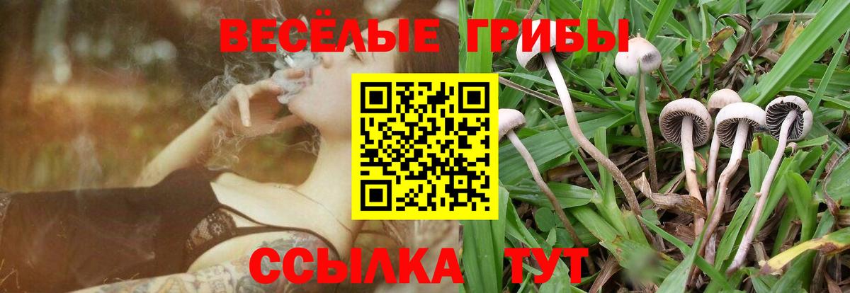 Галлюциногенные грибы мухоморы  Вход с VPN  купить наркотики цена  Богородицк  Псилоцибиновые грибы мицелий 