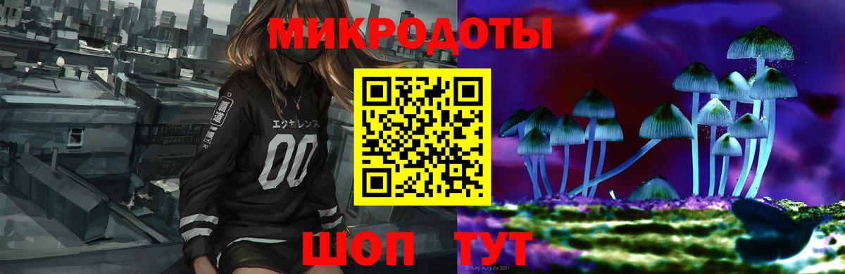 Псилоцибиновые грибы GOLDEN TEACHER  Богородицк  Галлюциногенные грибы Psilocybine cubensis 